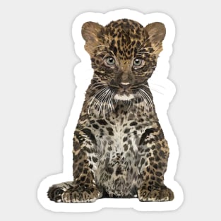 Leopard Sticker